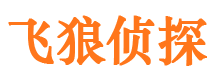 鲁甸市侦探调查公司